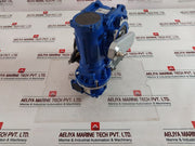 Motovario Ges 5-6 6.2 Gear-motor 230V 50Hz Ip55