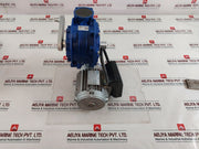 Motovario Ges 5-6 6.2 Gear-motor 230V 50Hz Ip55