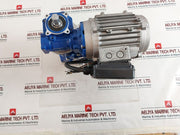 Motovario Ges 5-6 6.2 Gear-motor 230V 50Hz Ip55