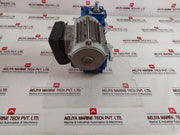 Motovario Ges 5-6 6.2 Gear-motor 230V 50Hz Ip55