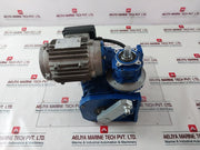 Motovario S71B4 Moter With Worm Gear Reducer Sw/040-sw 075
