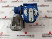 Motovario S71B4 Worm Geared Motor Ip55-230V-0.37 Kw-50Hz