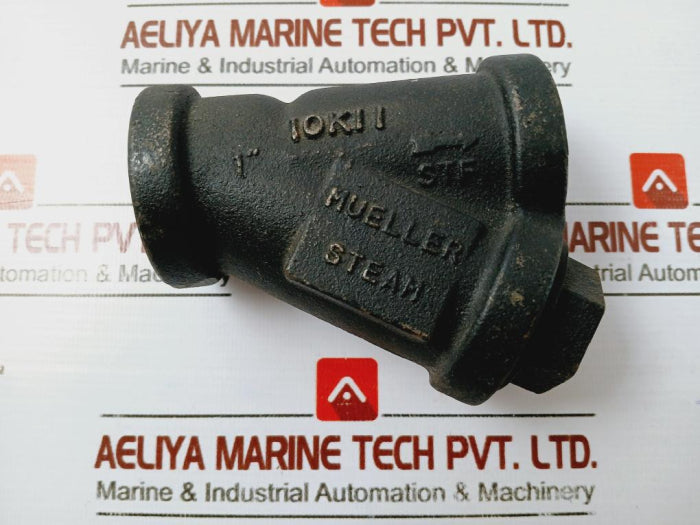 Mueller 10K11 Steam Y Typ Strainer 250 Psi 20 Mesh 1" Fpt