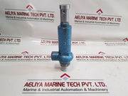 Niezgodka 10.1 Safety Valve