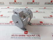 Ningbo Shenling Yvp90-6B Three-phase Asynchronous Motor