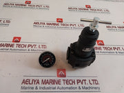 Norgren R74G-4At-rsg Pressure Regulator
