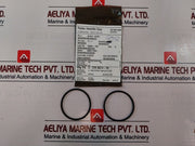 Oceaneering 100295-sk Valve Seal Kit