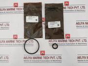 Oceaneering 100395-sk Valve Repair Kit