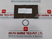 Oceaneering 100755-RK Repair Valve Kit