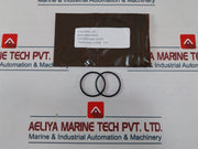 Oceaneering 100755-RK Repair Valve Kit