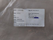 Oceaneering 100818-rk Valve Repair Kit