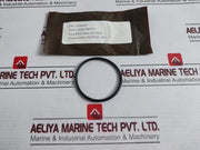 Oceaneering 100818-rk Valve Repair Kit Tp018 N4115 B011