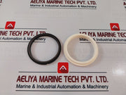 Oceaneering 100833Rk Check Valve Repair Kit New