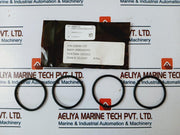 Oceaneering 100868-rk Valve Repair Kit Filter 1.5 In 5K