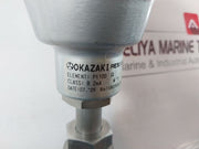 Okazaki Pt100 T34601 Temp Sensor Class B 2Ma