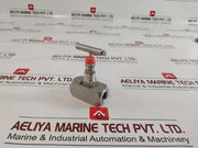 Oliver Valves 10,000Psi 316Ss Needle Valve F38S/Bp/Hp