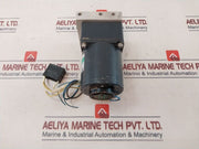 Oriental Motor 4Ik25Rgn-a Speed Control Motor 24W
