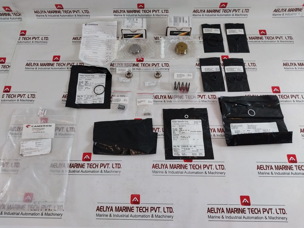 Cameron Iron 2185188-31-99 Drg Valve Repair Kit