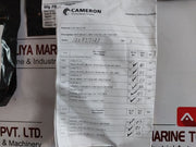 Cameron Iron 2185188-31-99 Drg Valve Repair Kit