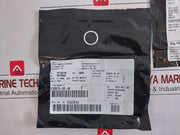 Cameron Iron 2185188-31-99 Drg Valve Repair Kit