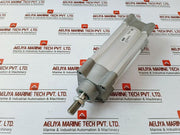 Parker P1F-s063Ms-0100-0000 Pneumatic Piston Rod Cylinder Max 10 Bar