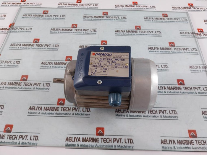 Pedrollo Km1-63/M2 1~ Electric Motor
