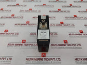 Pendelgeber Pe-wd-01/Gs120 Fsg Tilt Position Sensor