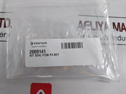 Pentair 2009141 Seal Valve Kit