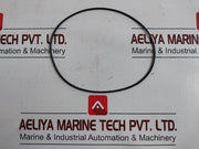 Pentair 2009141 Seal Valve Kit