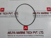 Pentair 2009141 Seal Valve Kit