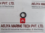 Pentair 2009141 Seal Valve Kit