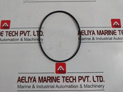 Pentair 2009141 Seal Valve Kit