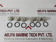 Pentair Hypro 3430-0316 Triplex Plunger Pump Service Valve Kit