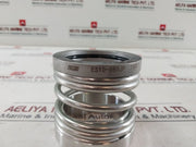 Pillar Stc4-060S1-9002 Mechanical Seal Es10-060Jp SetÂ 