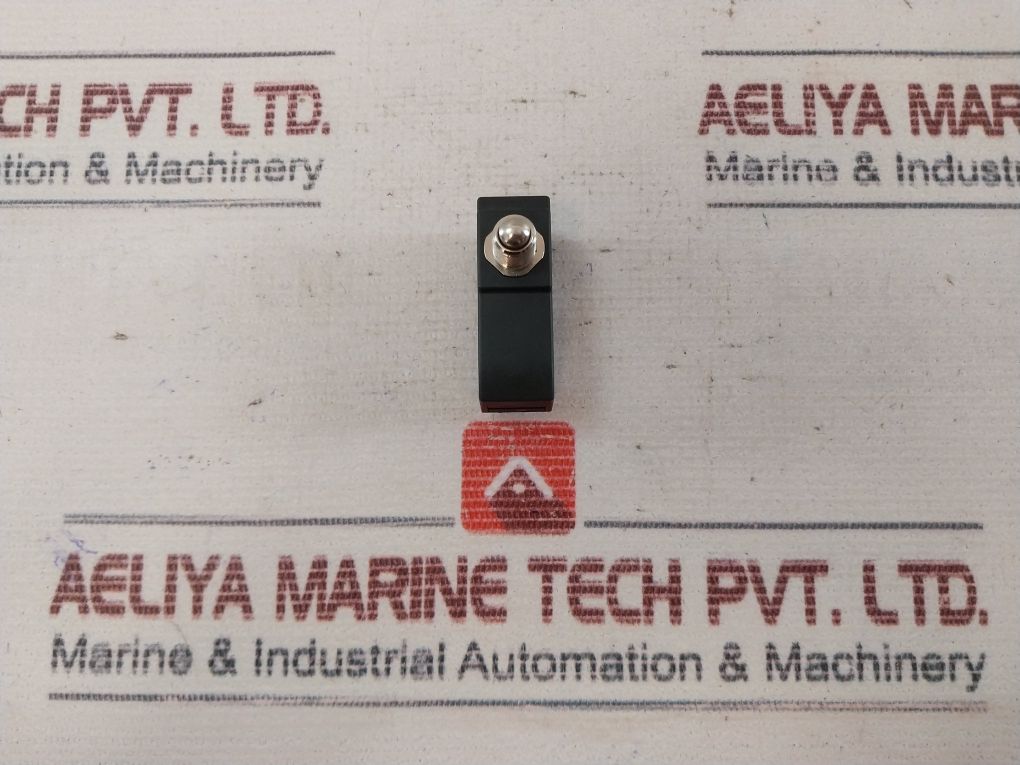 Pizzato Mk V11D06 Microswitch