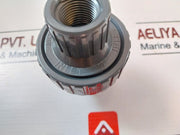Plast-o-matic Ckm050V-pv 1/2â€ Check Valve