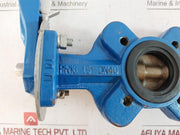 Pn16 Butterfly Valve 15 Dn40 89L2