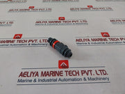 Prominent Dn6-1/4