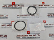 Proserv 18701-001 O-ring Repair Kit