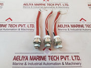 Set Of 3X Prx3T500029905Jv