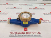 Pulsafeeder Mtr300 Inline Mechanical Flowmeter