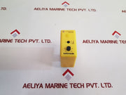 Pulsteknik R-system Rad On Delay Timer