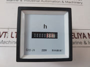 Qiaoguang Q72-js Hour Meter 220V (New)