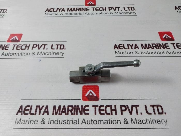 Rotelmann St/P0M/N 2-way Ball Valve Dn 6 1/4 Bsp