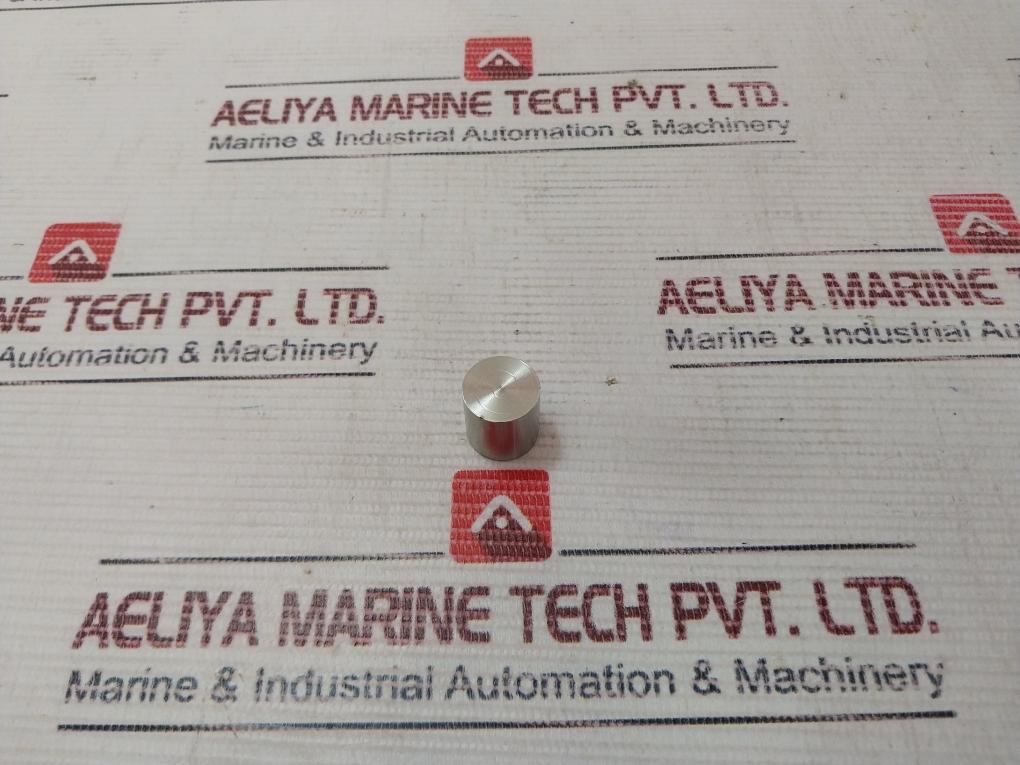 Radoil 111-095-95-01 Plug