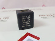Rapa bv01 l2 m13 solenoid valve coil 0-19 bar