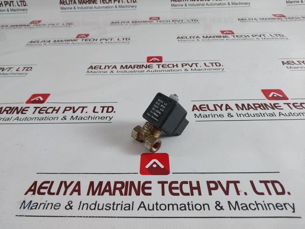 Rapa Bv01 L2 M13 Solenoid Valve & Coil 0-19Bar