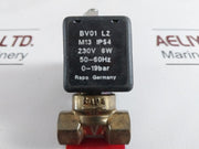 Rapa Bv01 L2 M13 Solenoid Valve & Coil 0-19Bar