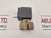 Rapa M10 Solenoid Valve Coil 110V 50Hz