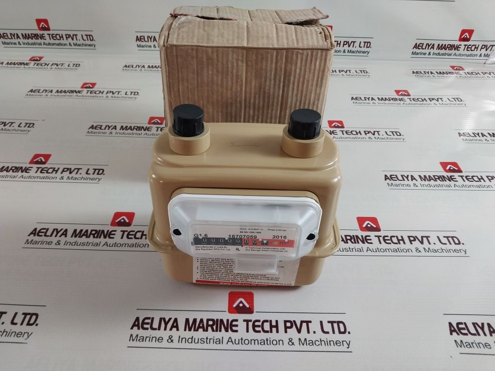 Raychem G1.6 16707059 2016 Gas Flow Meter